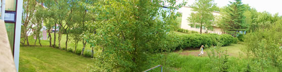 Rear View from Upper Floor Rear View from Upper Floor